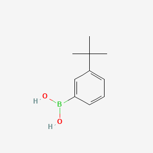 (3-tert-Butylphenyl)boronic Acid丨CAS 560132-24-3