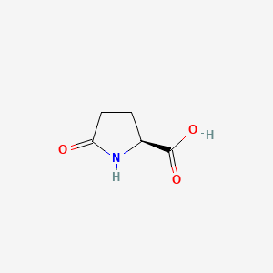 L-Pyroglutamic Acid丨CAS 98-79-3