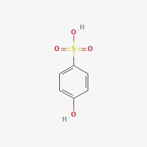2026 Best 10 resins Manufacturers in the world