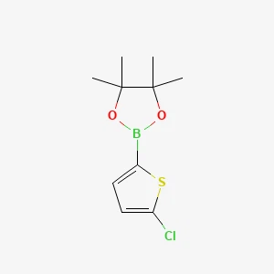 5-Chlorothiophene-2-boronic Acid Pinacol Ester丨CAS 635305-24-7